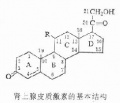 2014年1月19日 (日) 03:53的版本的缩略图