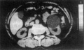 2014年1月19日 (日) 04:33的版本的缩略图